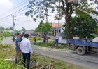 Langkah Preventif, Penebangan dan Perapihan Pohon Tua di Depan Lapas Slawi Demi Keselamatan